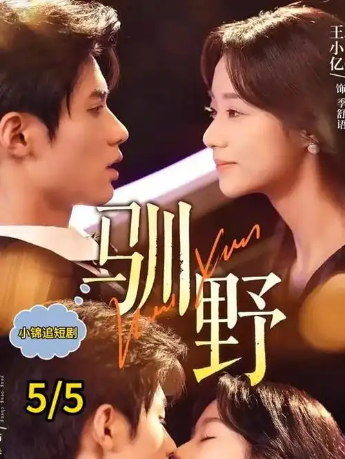 韩剧回声档案热播电视剧全集